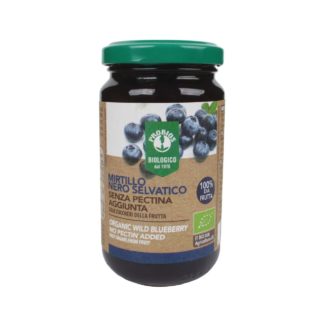 Probios Pâte de fruit myrtilles bio