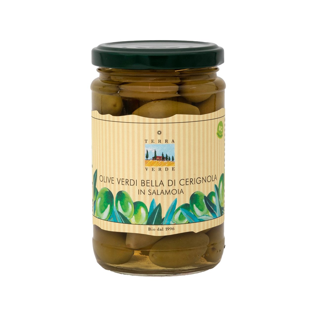 Terra Verde Olives vertes entières dans saumure