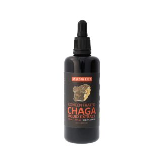 NaturKraftWerke Chaga champignon vital, extrait liquide concentré